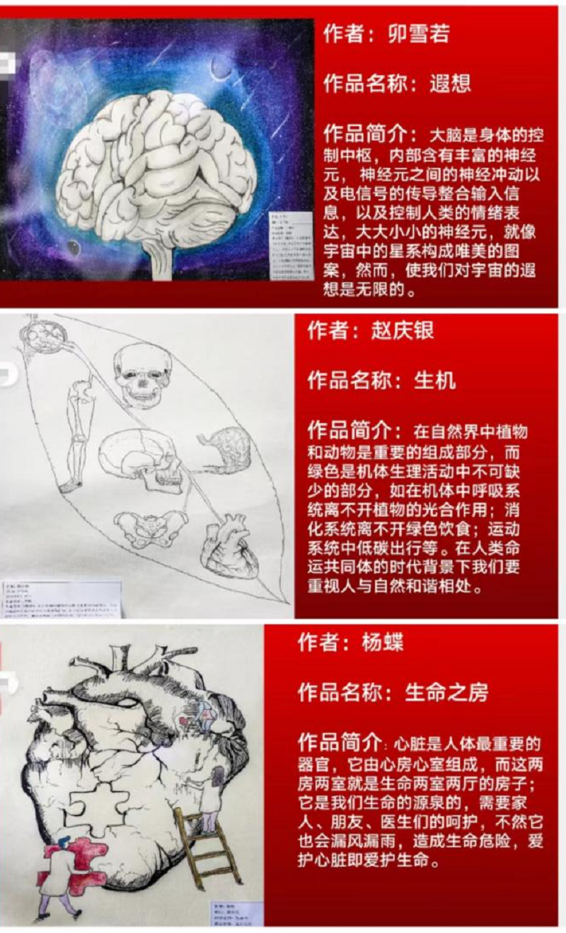 弘扬解剖文化 推动医学科普 ——我院召开第一届人体解剖绘图大赛表彰大会暨 2022年职业教育活动周总结会(图5) 弘扬解剖文化 推动医学科普 ——我院召开第一届人体解剖绘图大赛表彰大会暨 2022年职业教育活动周总结会(图5)